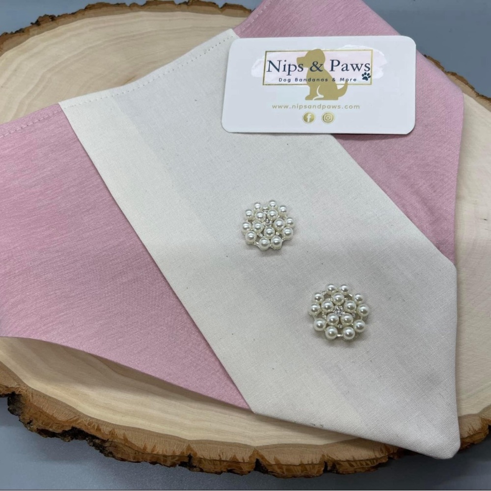 Special Occasion Dog Bandana